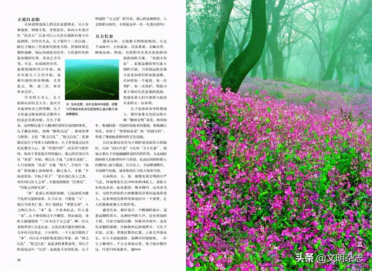 瀛旀灄瀹惰氨,瀛旀灄瀹惰氨瀛楄緢澶у叏