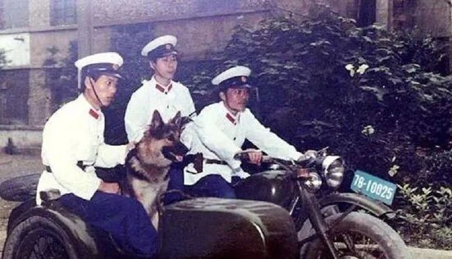 智擒戴笠贴身警卫,揭秘抓捕戴笠贴身警卫的故事