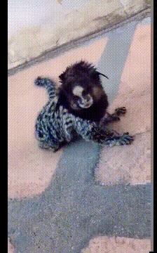 山海经中以乳为目以脐为口的怪物,山海经搞笑图片