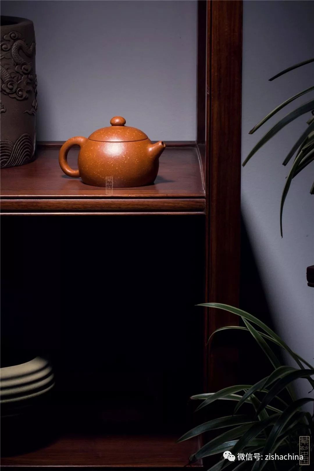 同卵双胞胎是同性还是异性,同卵双胞胎的dna一样吗