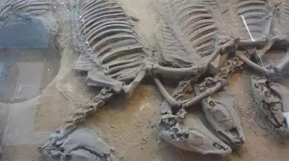 鬼吹灯之九层妖塔讲的是什么,鬼吹灯之九层妖塔是哪一部