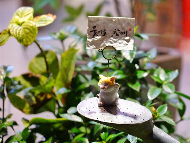 韩国之行领略异域风情,韩国自驾游感受