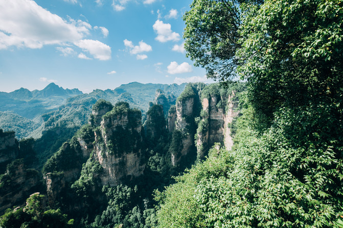 张家界一天游报价,张家界一日游大概需要多少钱
