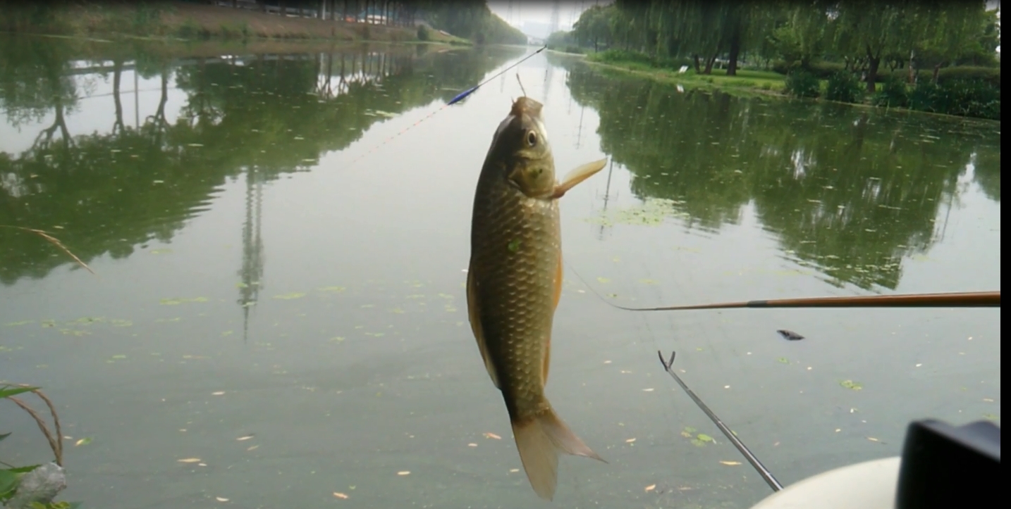 让钓鱼人抓狂和崩溃的事:鱼线打结和上树，教你三招轻松化解!