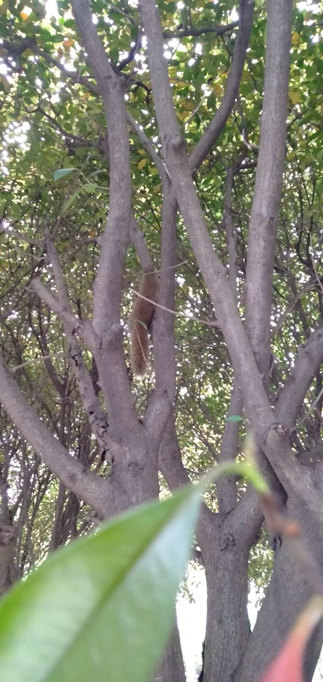 杩愬姩涓嶈兘娌荤梾閱夐厭涓嶈兘瑙f剚,閱夐厭鑳借В鎰佸悧