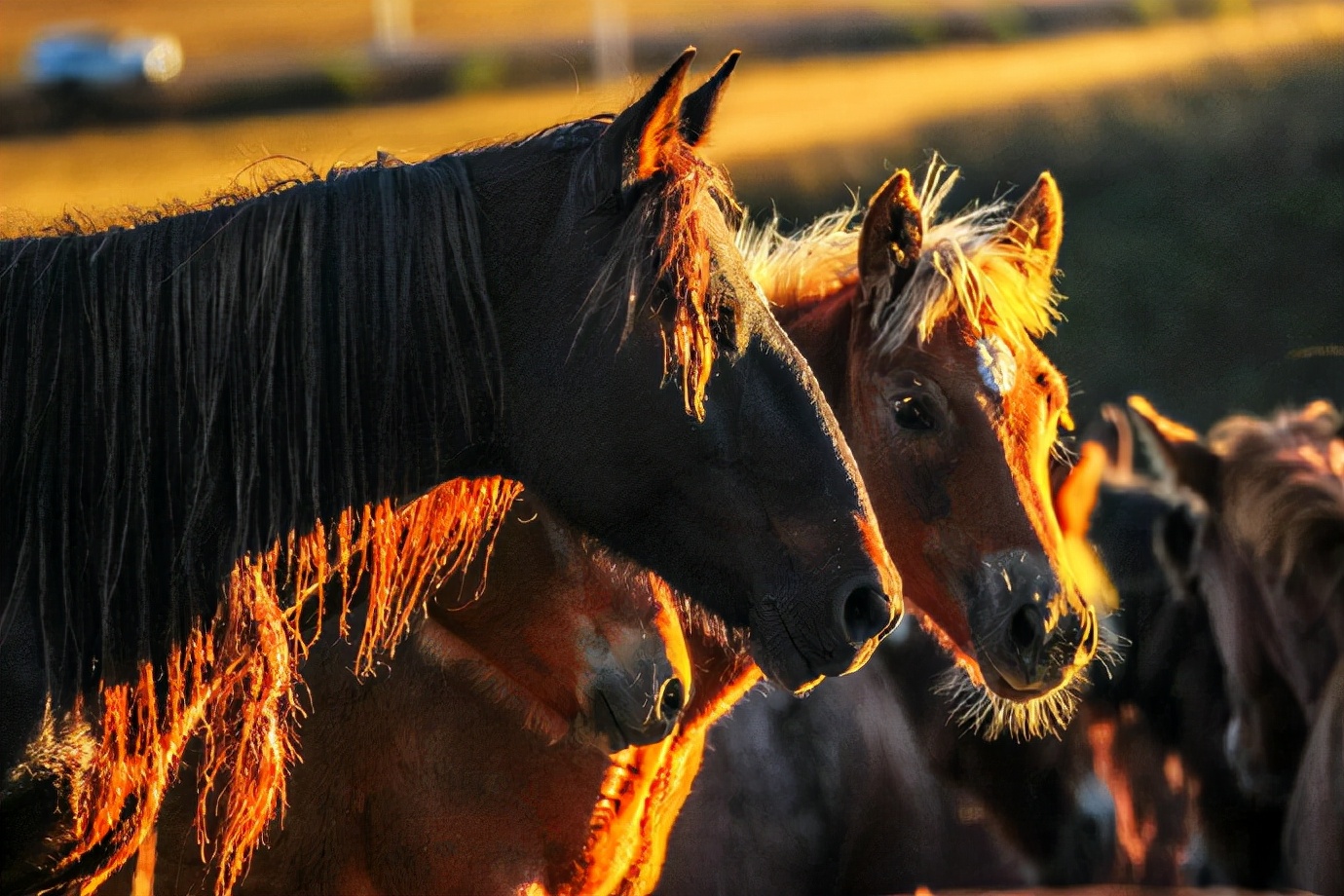 行摄美景,行摄塞外美景
