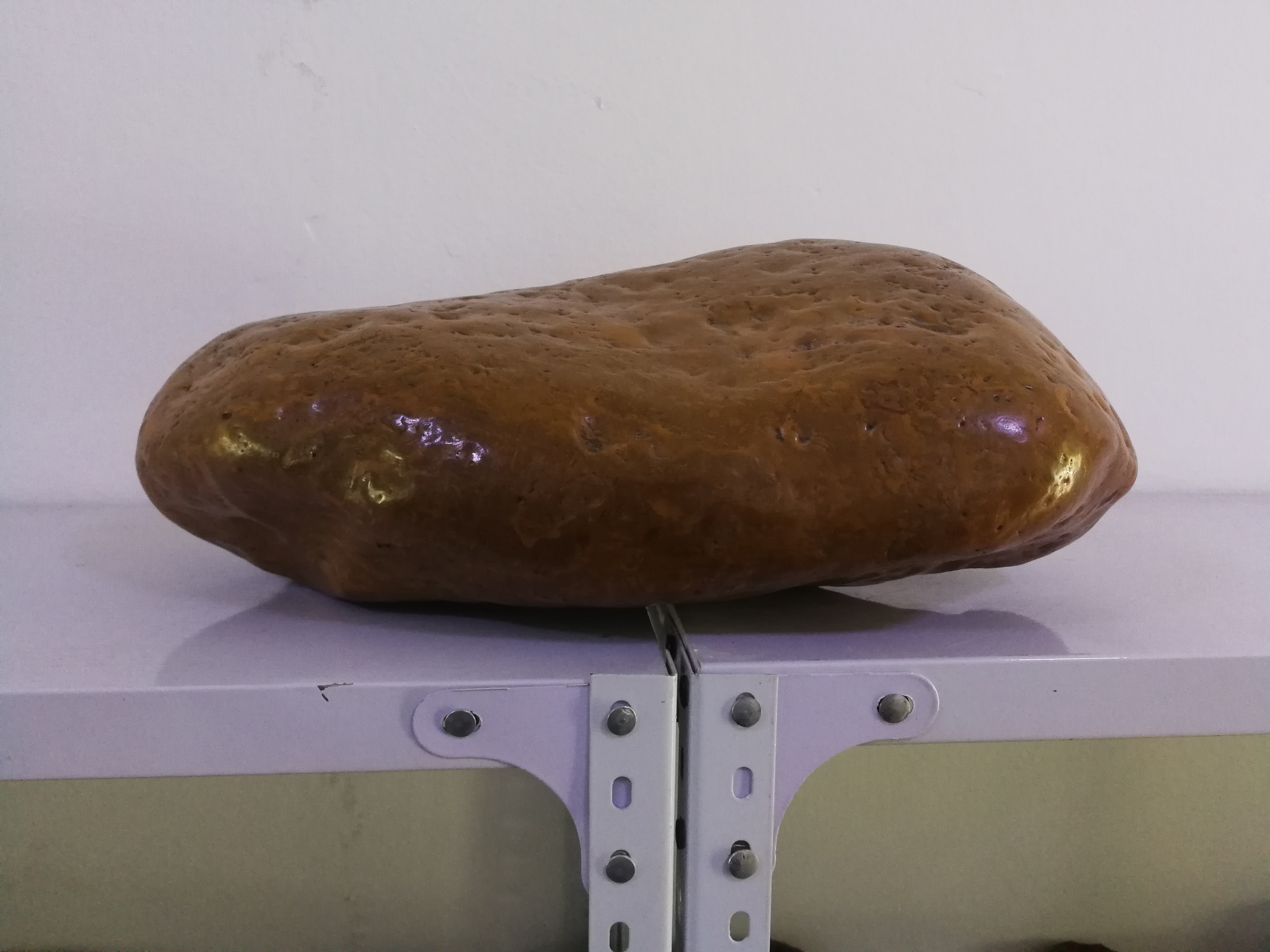 远古的记忆完整版,远古的记忆纪录片