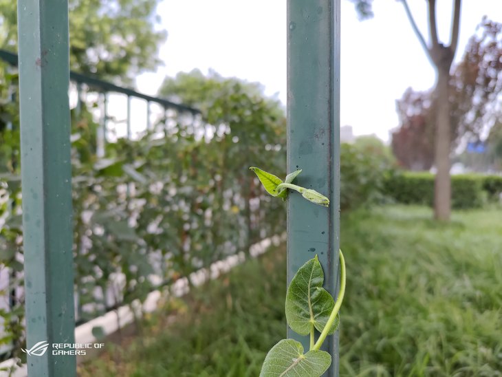 rog游戏手机5用后感受,用了五天的手机卖7500值吗