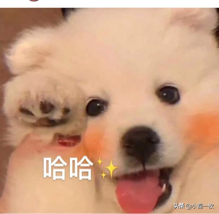 平价面膜10片装补水美白抗氧化,补水美白淡化痘印干皮面膜平价