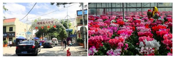 建业集团在售项目,建业集团新项目