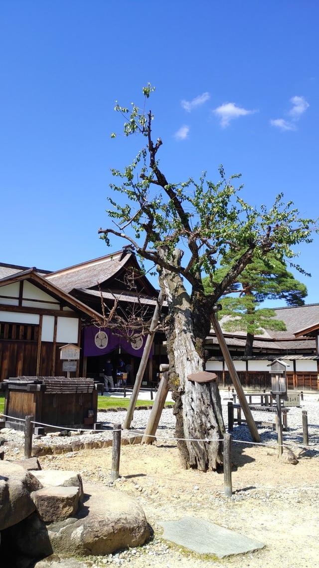 景点打卡日本名古屋乐高公园,日本名古屋乐高公园