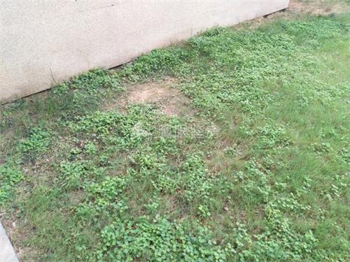 良乡万科物业,万科物业和配套设施