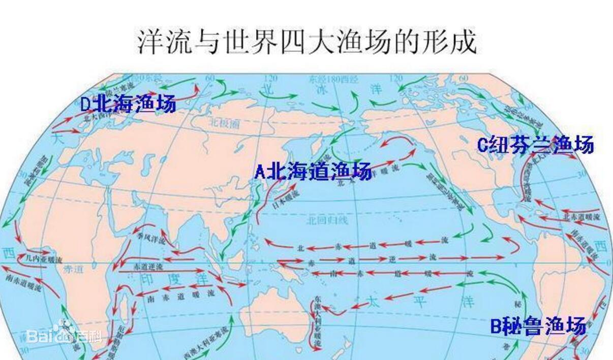 受赤潮影响的鱼可以吃吗,日本海水核污染鱼还能吃吗