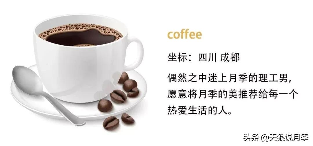 诗情与花意｜种花不识“奥切”仙，纵是花神也枉然