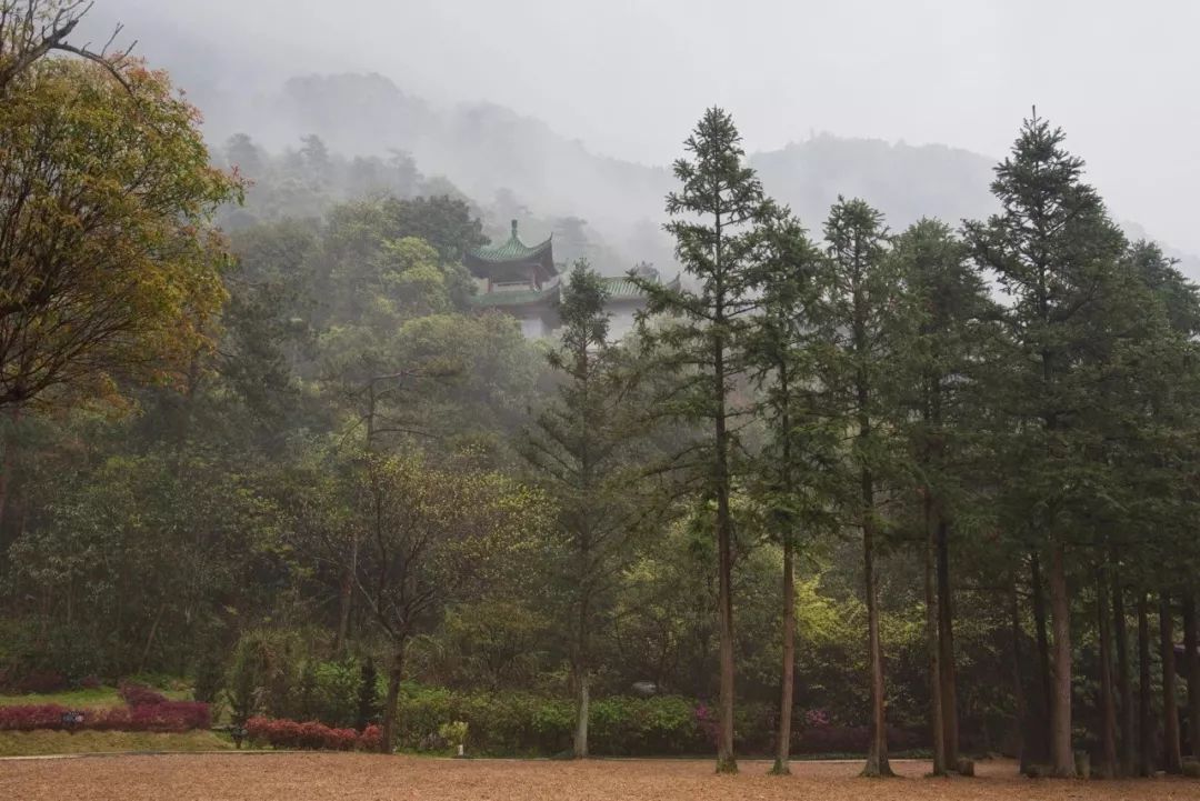 南国仙境姑婆山,姑婆山从南国仙山到山顶要多久
