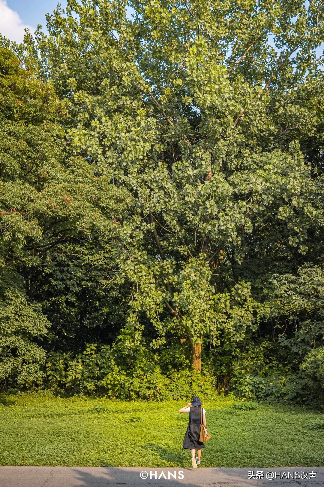 武汉人游玩好去处,武汉人玩乐的地方推荐