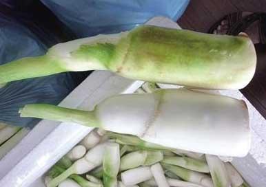 如何判断猪肉是否含激素,怎么检测猪肉里面的激素含量