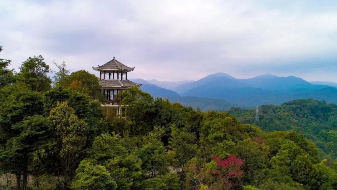 九九重阳望故乡,南昆山秋色
