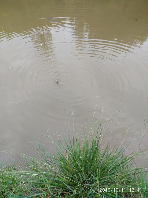 本汀宗师典藏版,本汀宗师完整视频