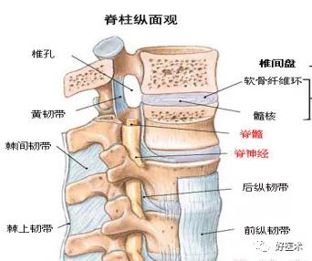 腰部ct需要注意事项,做腰部ct需要注意的事项