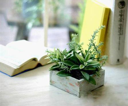 2019年努力过上更好的生活,2019年最美好的一件事