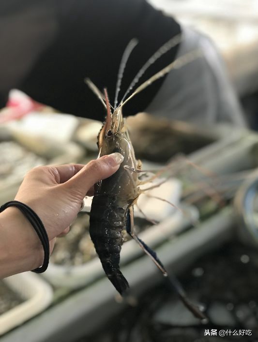 广州海鲜天堂介绍,广州黄沙有哪些海鲜