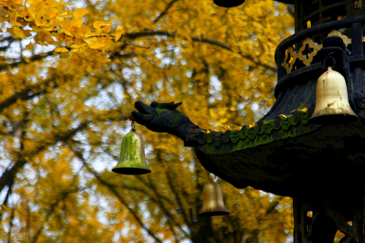 了凡四训七句箴言知命改命不难,除了了凡四训还有什么改命的故事