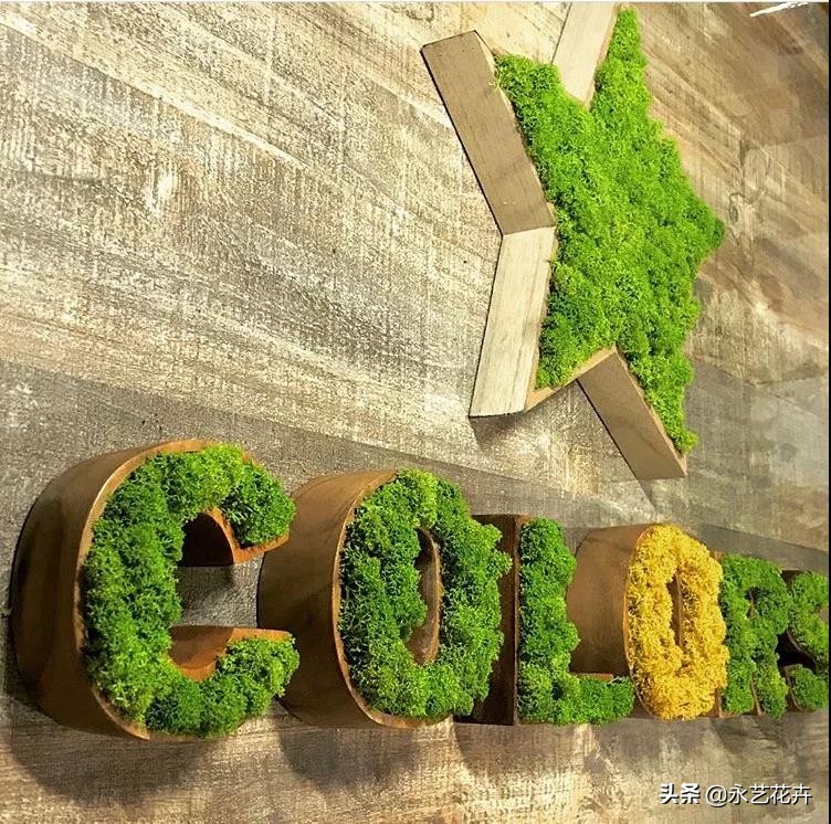 永生花苔藓植物墙,永生苔藓的价格