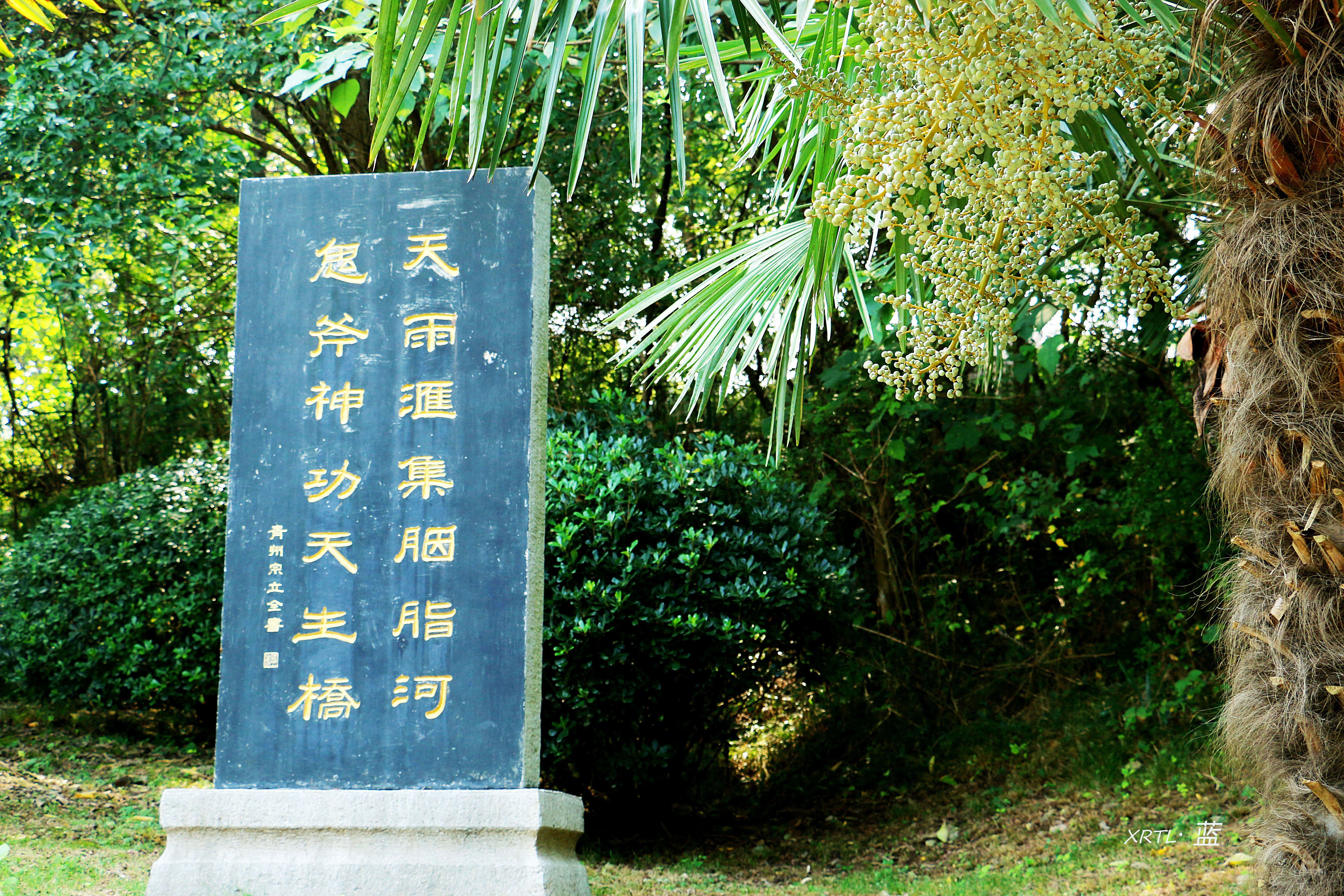 南京周边一天半游的绝佳去处,疫情后南京出游