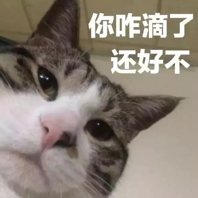 千万别小看想当妈妈的女人 (女人成为妈妈以后才知道的这些事)