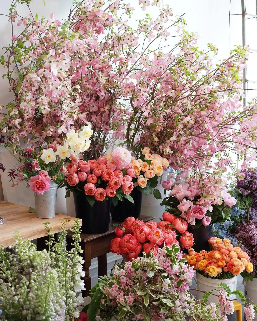 为什么不建议开加盟店,开一家花店有什么好的建议