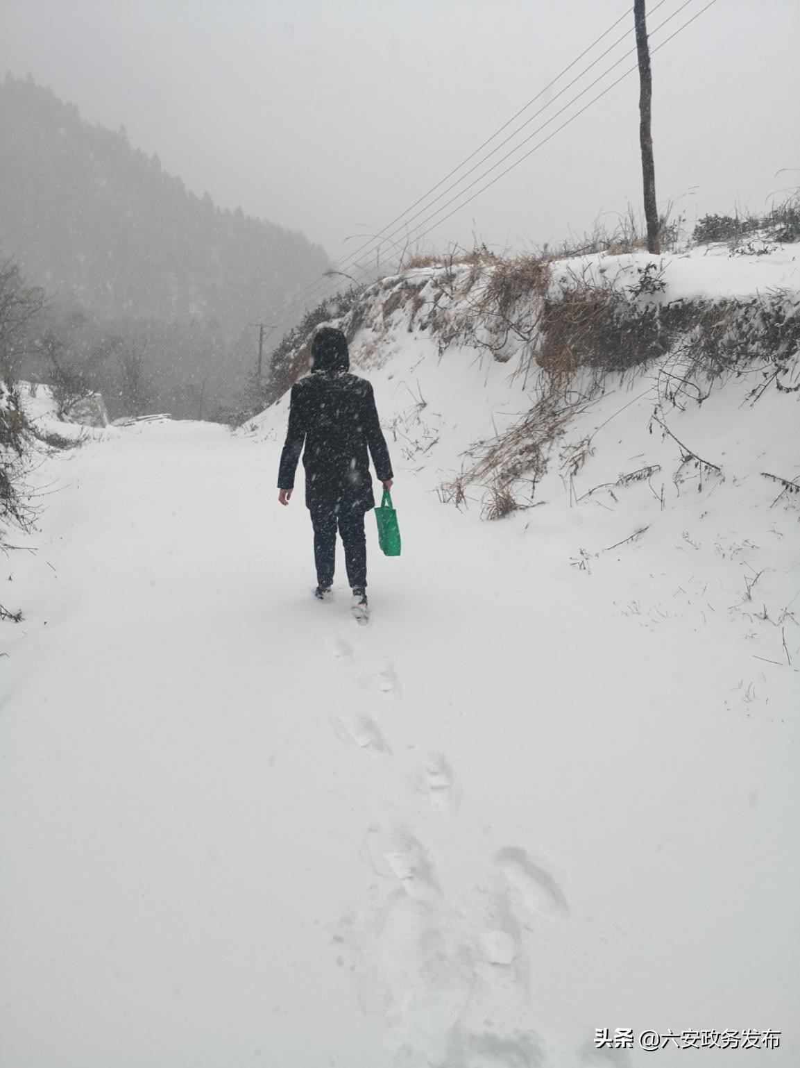 疫情不退，我们坚决不退