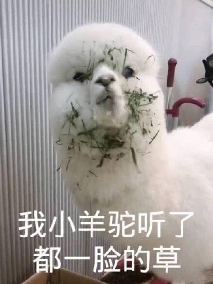 广州恒大“奶奶风”巨土宣传片，看完我裂开了！