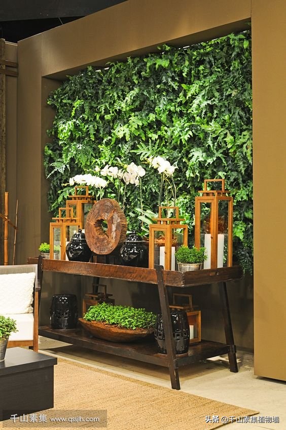 室内植物墙建造方法,适合打造植物墙的植物