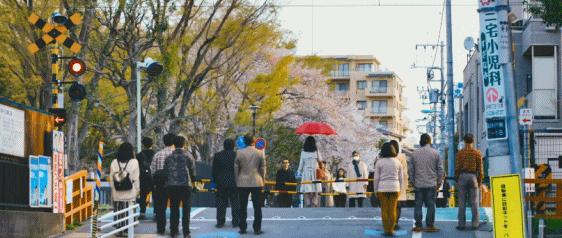 63岁苗侨伟依旧帅气，新剧收视率直达2.2亿！演技“吊打”男主