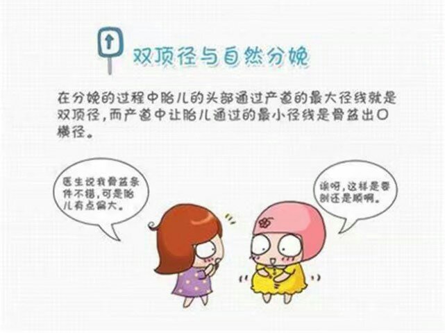 胎儿双顶径6.9多少斤,双顶径5.9相当于多少周