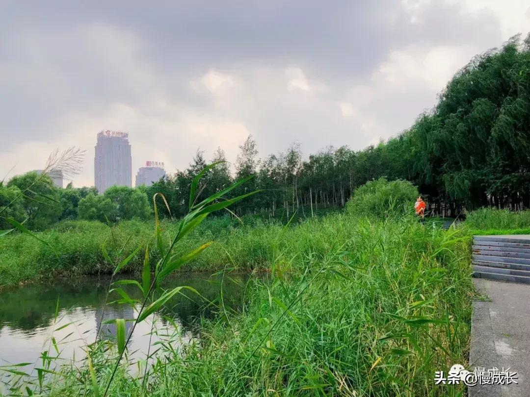 哈尔滨去威海亲子游,哈尔滨旅游攻略亲子游四天三夜