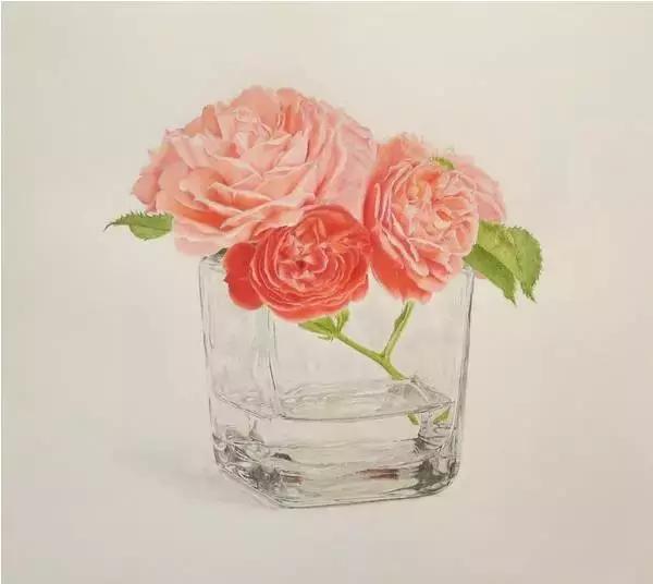 动漫手绘教程水溶彩铅上色技法,彩铅动物毛发技法绘画教程视频