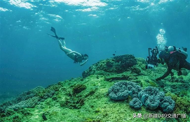 从新疆出发内地旅游省钱攻略,疆内旅游机票