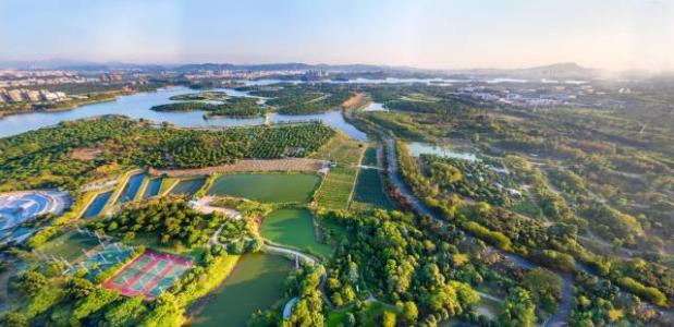 东莞世界工厂曾经的大厂,东莞是世界上工厂最多的