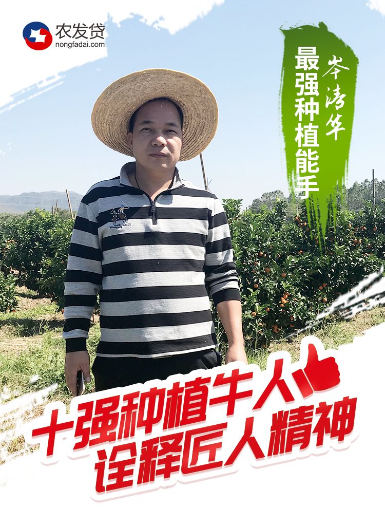 他说，要种出最优良的沙糖桔，必须治好两种病！