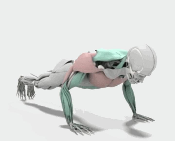 徒手运动的优缺点，都有哪些？掌握这些，在家也能练