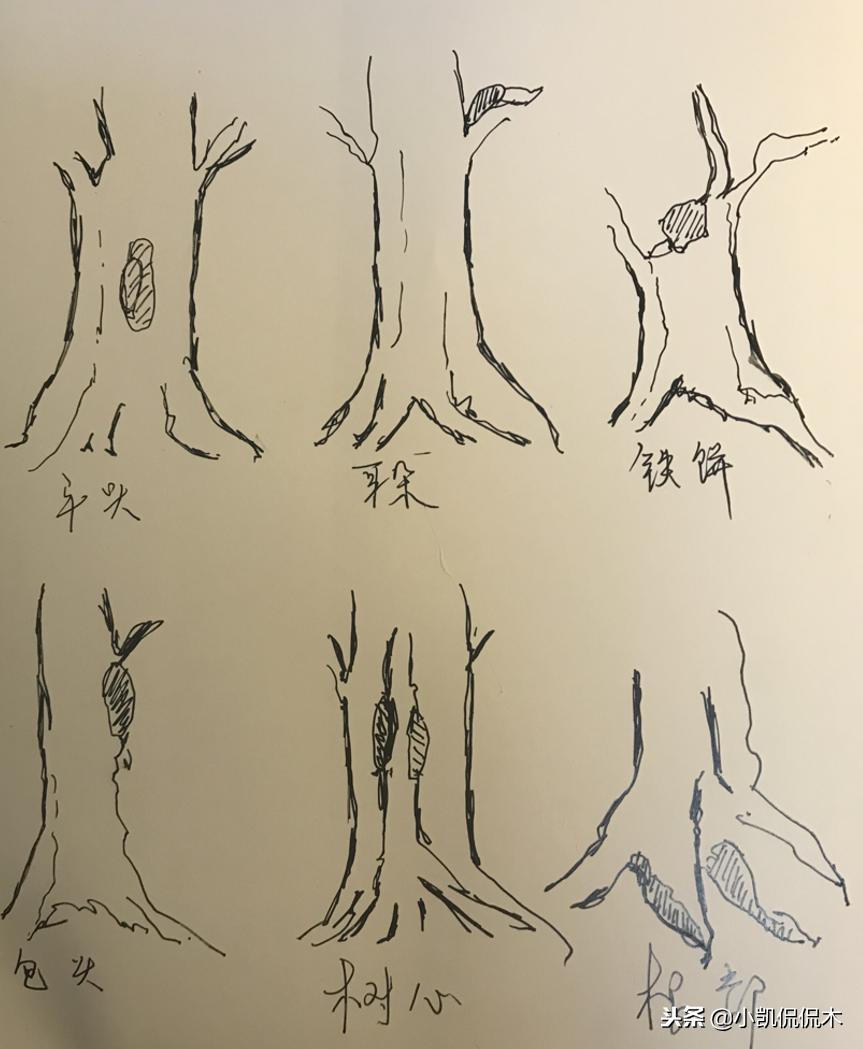 海南沉香鉴别方法图解,如何收藏海南沉香