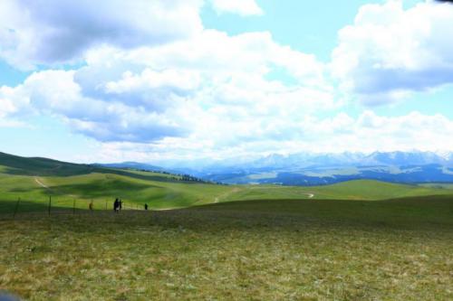 追本溯源，我在良品拥抱了我心心念念的*疆新**特色