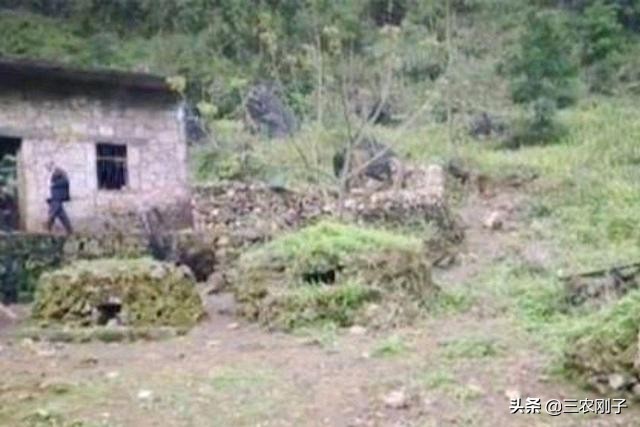 在农村,如果房前有坟墓,别人不迁走怎么办?