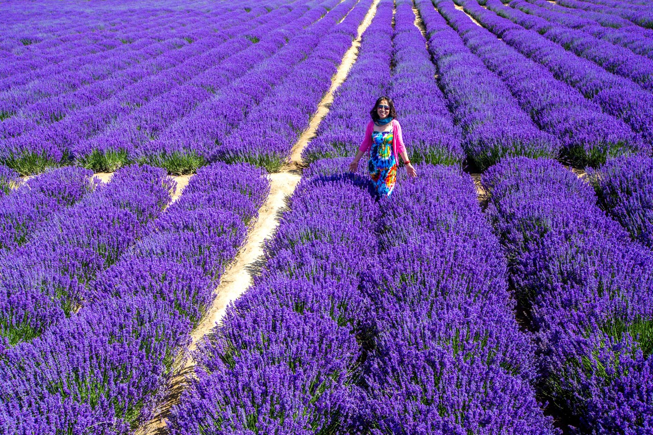 新疆旅行摄影攻略伊犁,伊犁草原摄影团