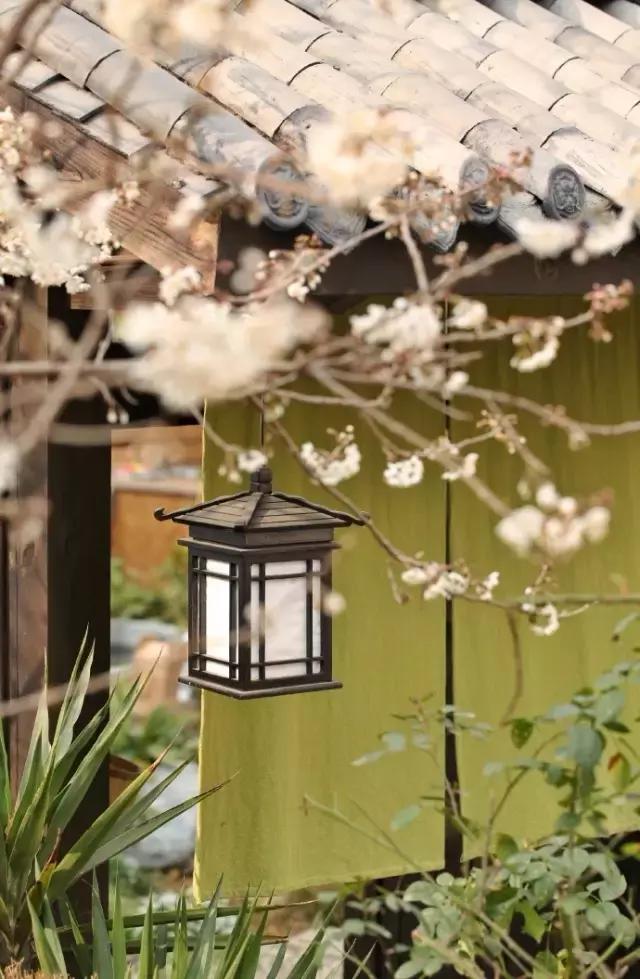 90后小伙花100万造房子,90后小伙花几千元装修500个平方