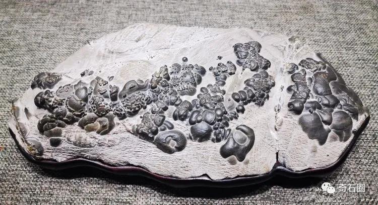 久违了，「石缘聚」开年第一拍即将开启