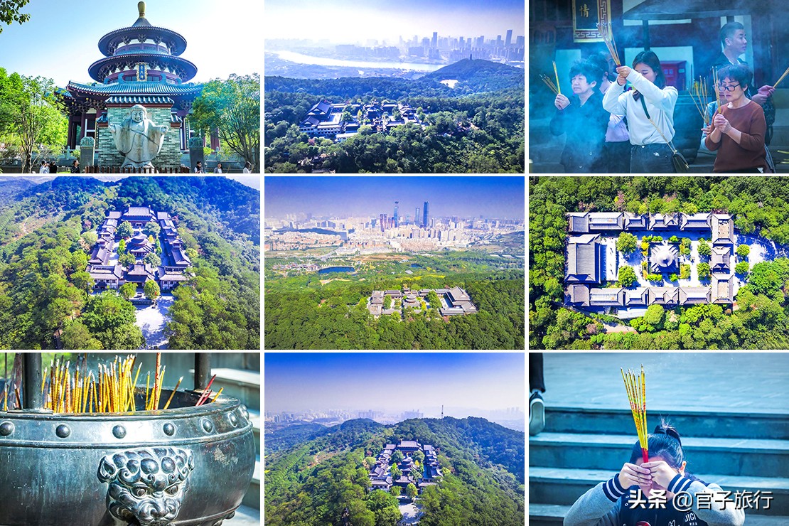 再游青秀山，看“熊猫级”国宝苏铁王，只为千年等一回的告别