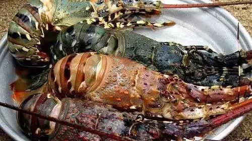 芽庄会给你留下遗憾吗,芽庄忠告